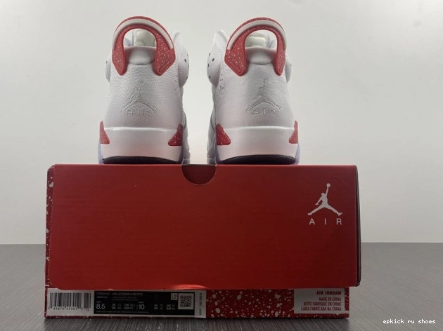 Rep 6 Retro CT8529-162 Jordan Hare 0723
